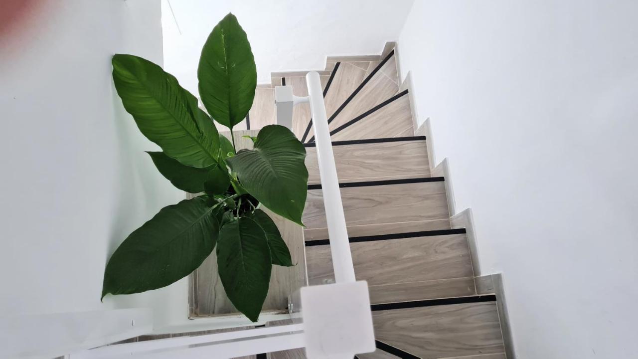 Apartamento Jameo Lägenhet Punta Mujeres Exteriör bild